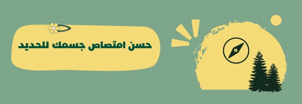 تجنب تناول حبوب الحديد مع الأطعمة الثقيلة