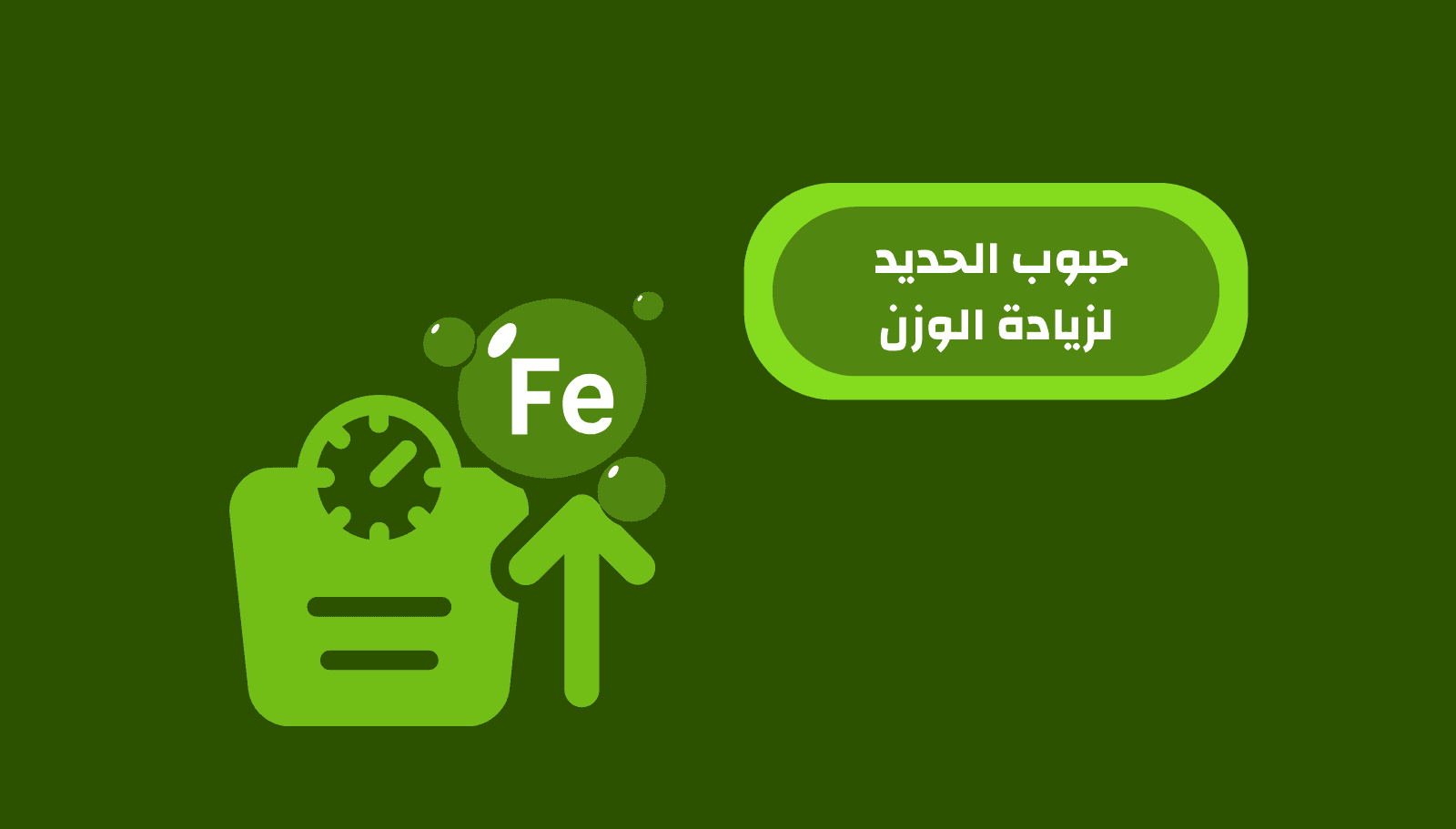 الرئيسية | اي هيرب بالعربي